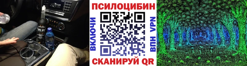 купить цена Болотное Псилоцибиновые грибы прущие грибы